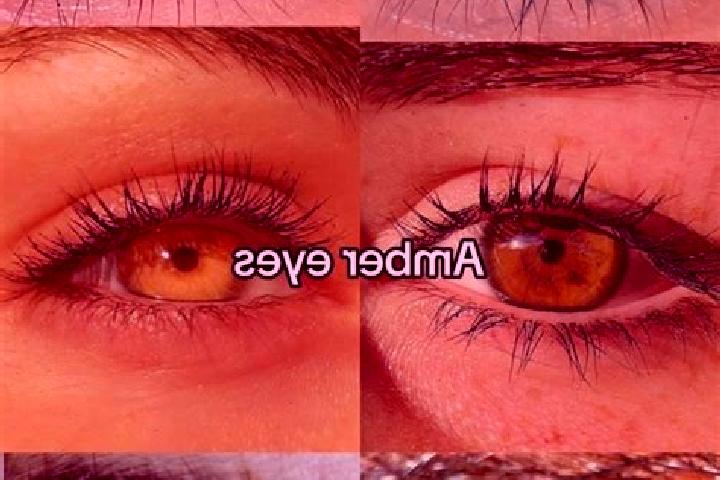 Zoe, 29, a chestnut amber-eyed middle eastern companion based in Amderma. Offering OWO, 69, Domination. Available for incall and outcall, day and evening dates.