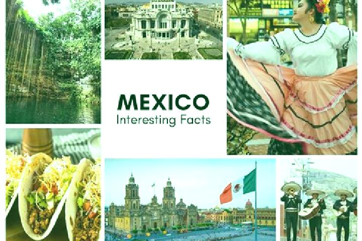 Zoe, 29 — Escort in Conejeras, Mexico