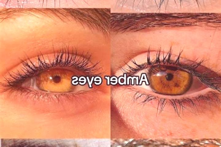 Zoe, 32, a chestnut amber-eyed middle eastern companion based in Perumanna. Offering Duos, CIM, GFE, Domination. Available for incall and outcall, day and ev...