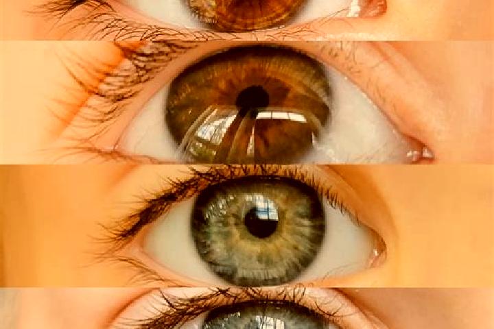 Zoe, 32, a chestnut hazel-eyed mediterranean companion based in Schellbach. Offering Domination, Duos, Couples, Prostate Massage. Available for incall and ou...