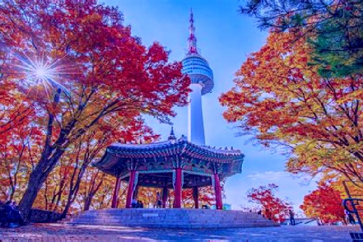 Zoe, 32 — Escort in Namsan, North Korea