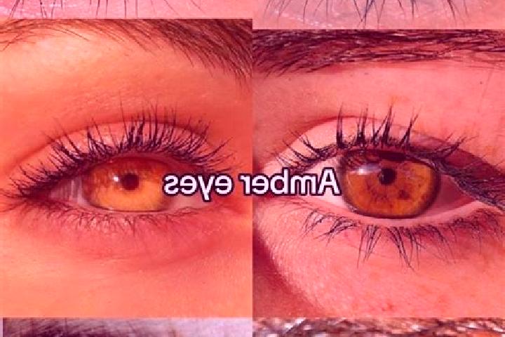 Zoe, 35, a chestnut amber-eyed slavic companion based in Benve. Offering Deep French Kissing, GFE, Couples, Girlfriend Experience. Available for incall and o...
