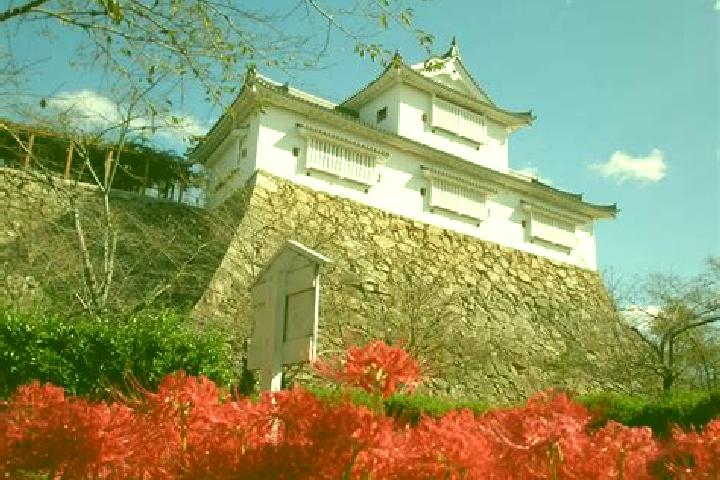 Zoe, 35 — Escort in Tsuyama, Japan