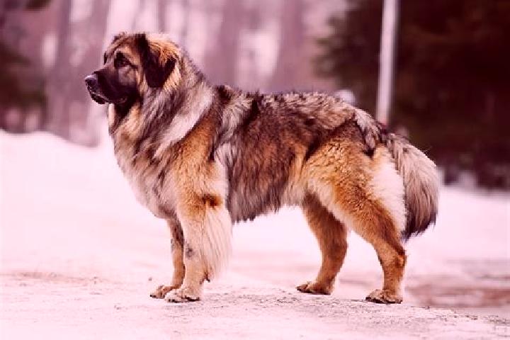 Zoe, 37, a black brown-eyed caucasian companion based in Novoukrainskiy. Offering Travel Companion, Couples, Deep French Kissing, A-Level, 69. Available for ...
