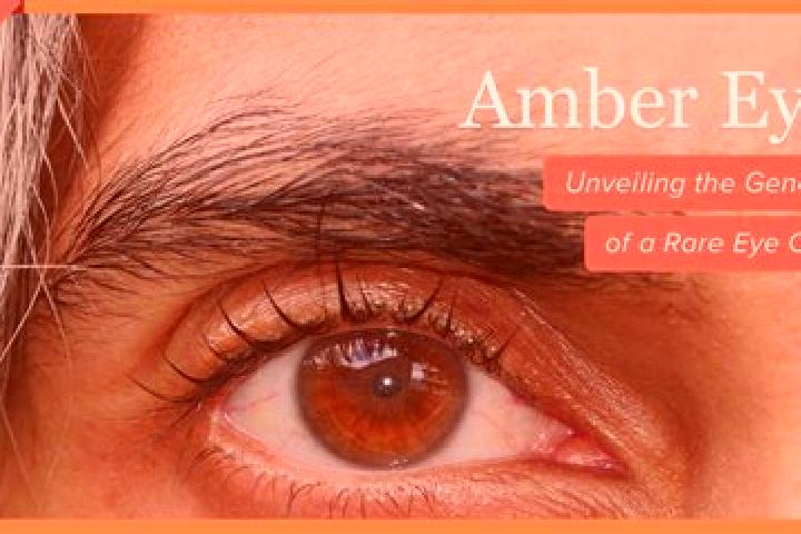 Zoe, 37, a red amber-eyed european companion based in Limoeiro do Norte. Offering Massage, Striptease. Available for incall and outcall, overnight bookings a...