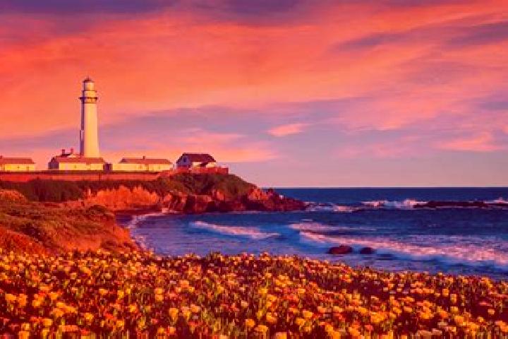 Zoe, 37 — Escort in Pescadero, United States