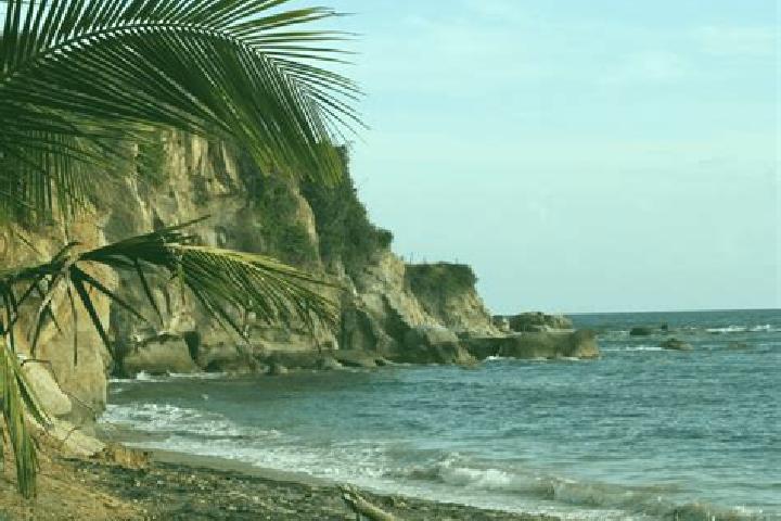 Zoey, 20 — Escort in Barceloneta, Puerto Rico
