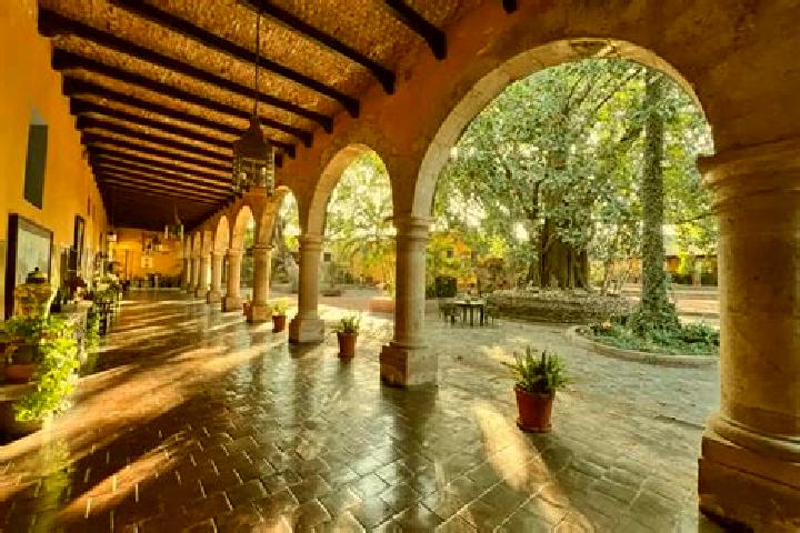Zoey, 20 — Escort in Rincones de la Hacienda, Mexico