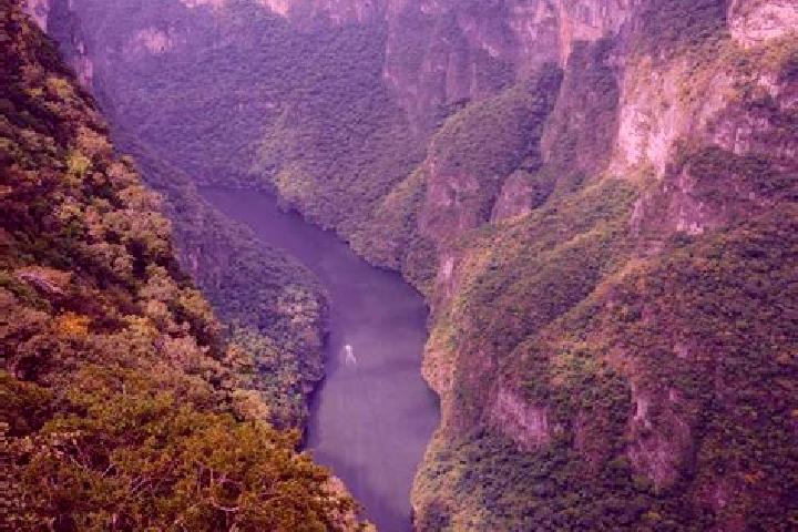 Zoey, 20 — Escort in Sumidero, Mexico