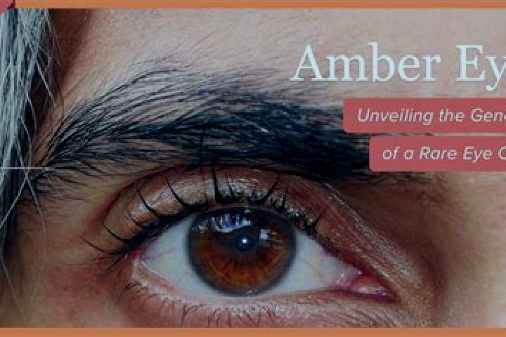 Zoey, 21, a black amber-eyed indian companion based in Borgata Marina. Offering Girlfriend Experience, CIM, Tantra. Available for incall and outcall, overnig...