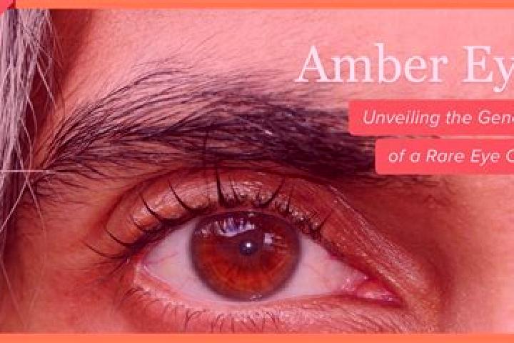 Zoey, 21, a red amber-eyed middle eastern companion based in Poca. Offering Girlfriend Experience, Couples, Fetish, Massage. Available for incall and outcall...
