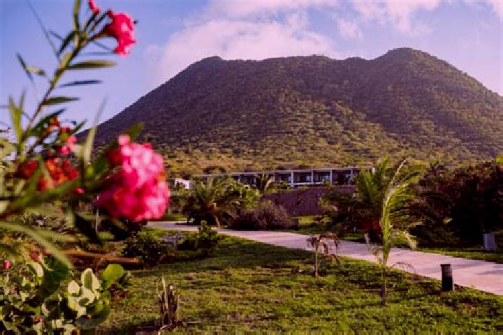 Zoey, 21 — Escort in Golden Rock, Bonaire