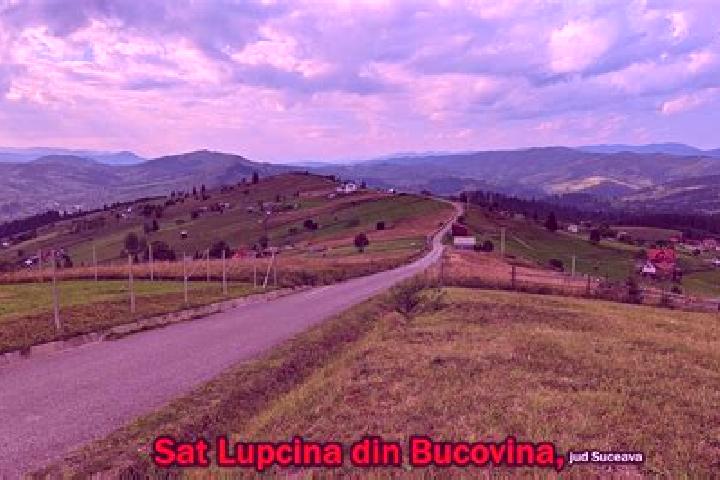 Zoey, 21 — Escort in Lupcina, Romania