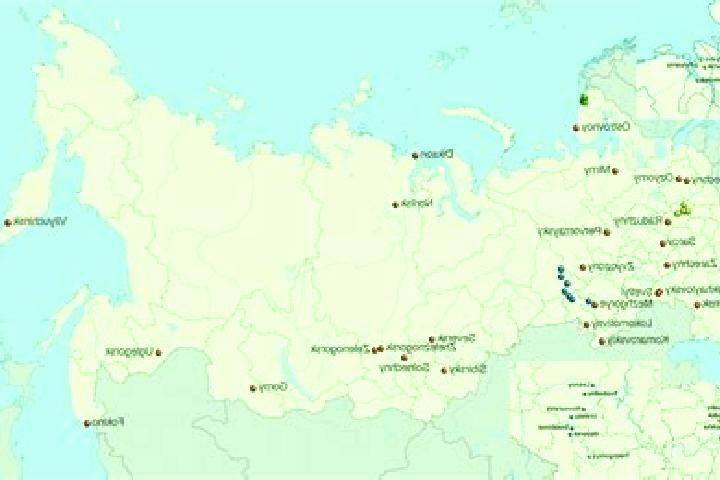 Zoey, 23 — Escort in Chermen, Russia