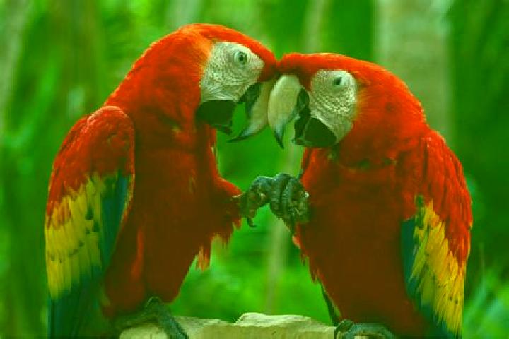 Zoey, 23 — Escort in El Guacamayo, Colombia