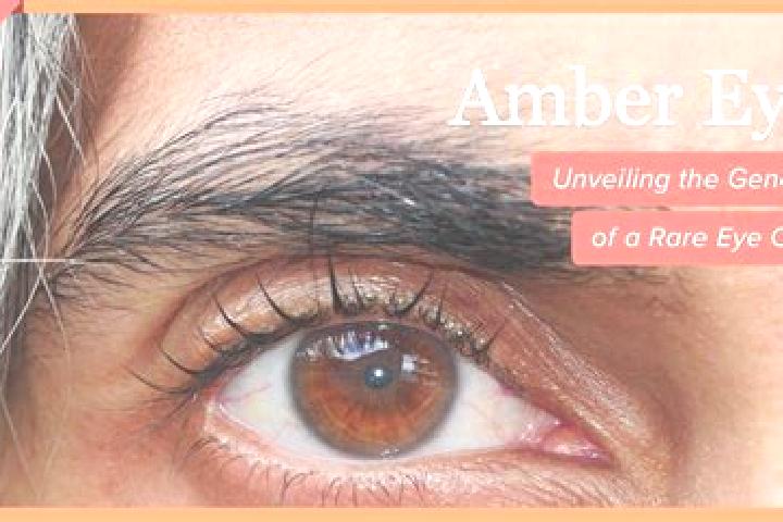 Zoey, 24, a black amber-eyed mixed companion based in Omignano. Offering Couples, Roleplay, Tantra, Duos. Available for incall and outcall, overnight booking...