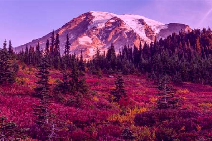 Zoey, 24 — Escort in Mount Rainier, United States