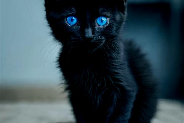 Zoey, 25, a black blue-eyed mediterranean companion based in Mimbaan Timur. Offering 69, GFE, Domination, OWO. Available for incall and outcall, overnight bo...
