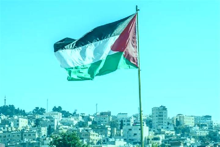 Zoey, 26 — Escort in Wadi Rahhal, Palestine