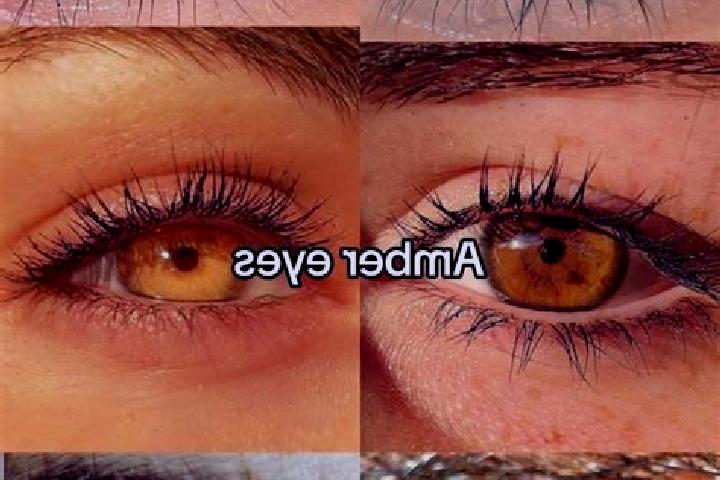 Zoey, 29, a chestnut amber-eyed latina companion based in Jambur. Offering Party Girl, Fetish, Travel Companion. Available for incall and outcall, day and ev...