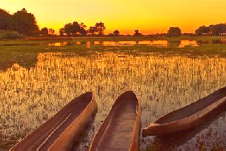 Zoey, 31 — Escort in Kuli, Botswana