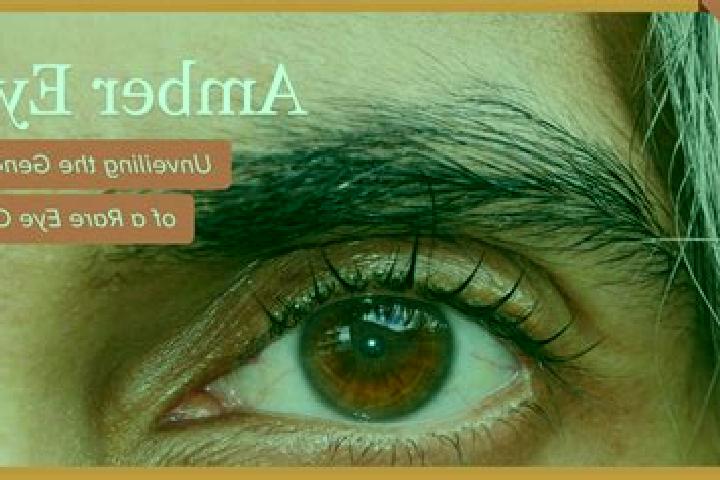 Zoey, 32, a black amber-eyed mediterranean companion based in Maceio. Offering Travel Companion, A-Level. Available for incall and outcall, day and evening d...