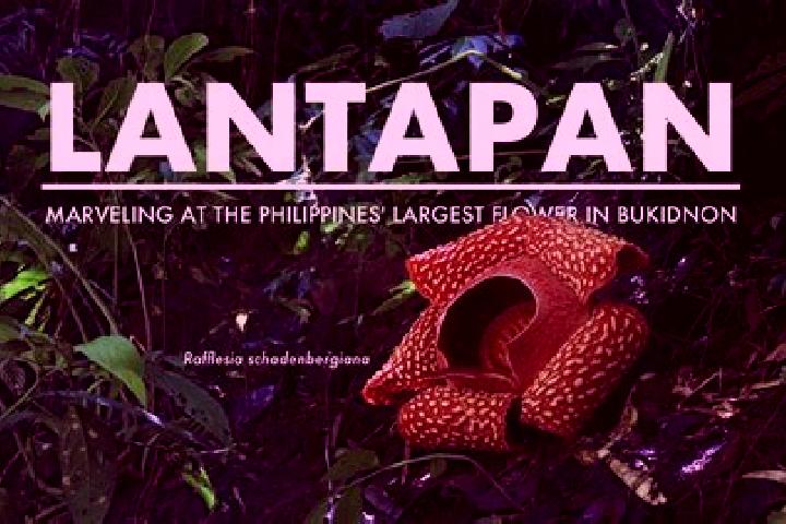 Zoey, 32 — Escort in Lantapan, Philippines