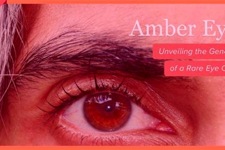Zoey, 33, a red amber-eyed caucasian companion based in Orchomenos. Offering CIM, Massage, Tantra, A-Level. Available for incall and outcall, overnight booki...