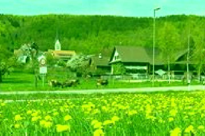 Zoey, 33 — Escort in Hausen am Albis / Hausen (Dorf), Switzerland