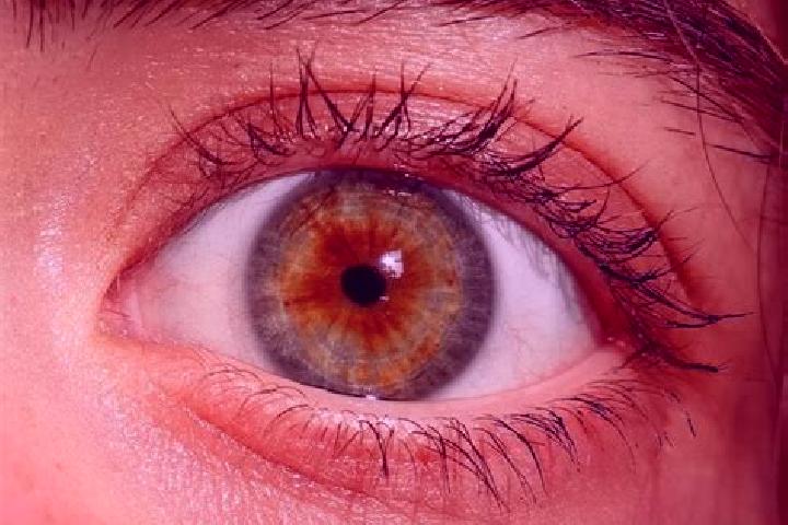 Zoey, 34, a red hazel-eyed indian companion based in Patuzza. Offering A-Level, Travel Companion, OWO, Overnight. Available for incall and outcall, overnight...