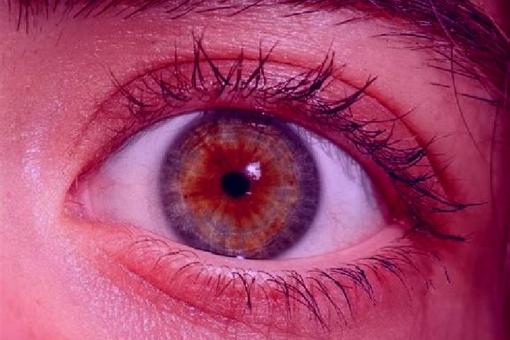 Zoey, 34, a red hazel-eyed mediterranean companion based in Zutphen. Offering Overnight, OWO, Deep French Kissing. Available for incall and outcall, overnigh...