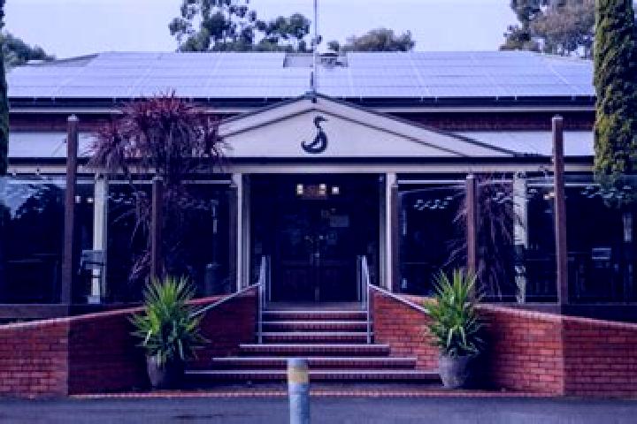 Zoey, 34 — Escort in Coromandel Valley, Australia