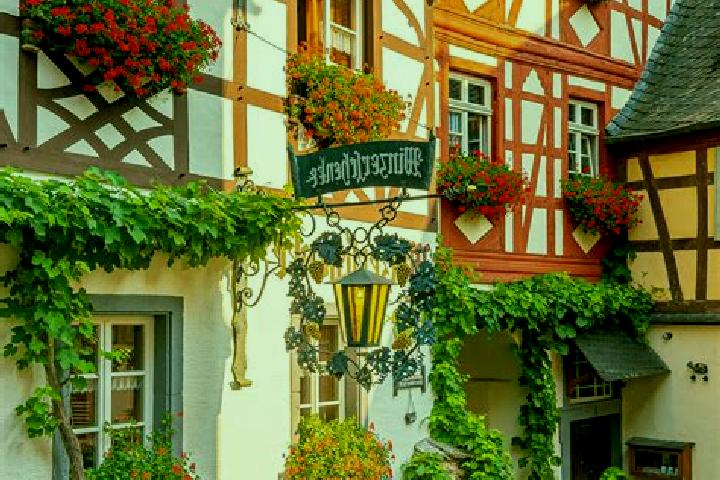 Zoey, 35 — Escort in Niederschonenfeld, Germany