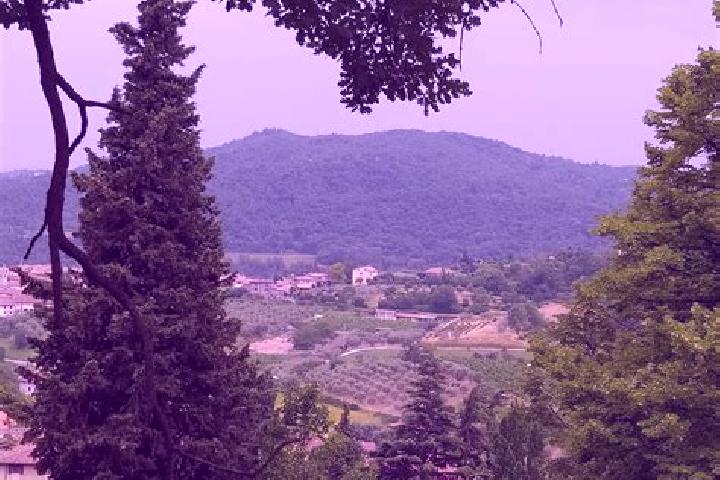 Zoey, 35 — Escort in Roe Volciano, Italy