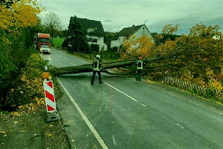 Zoey, 35 — Escort in Untersteinach, Germany