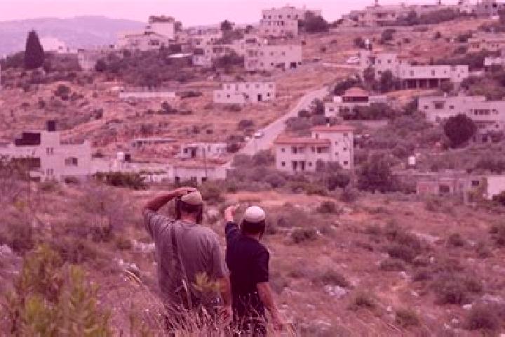 Zoey, 36 — Escort in Kokhav HaShahar, Israel
