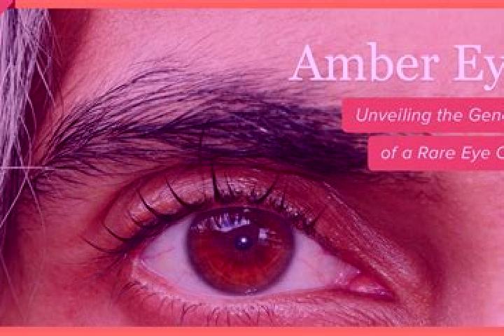 Zoey, 38, a red amber-eyed slavic companion based in Askersund. Offering CIM, Deep French Kissing, Travel Companion. Available for incall and outcall, overni...