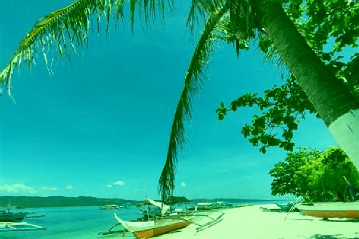 Zoey, 38 — Escort in Andres Bonifacio, Philippines