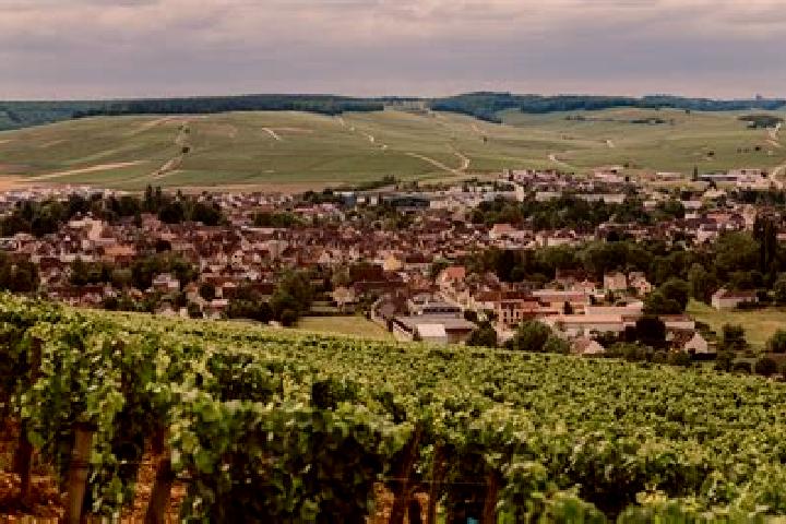 Zoey, 38 — Escort in Chablis, France