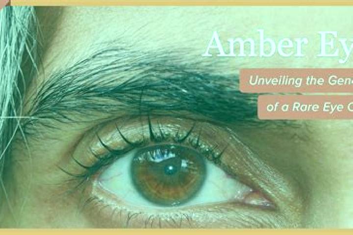 Zoey, 39, a red amber-eyed middle eastern companion based in Bayanbaraat. Offering Deep French Kissing, GFE, Couples, Domination. Available for incall and ou...