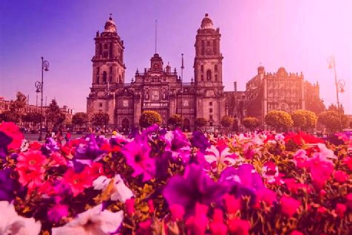 Zoey, 39 — Escort in Ciudad Tula, Mexico