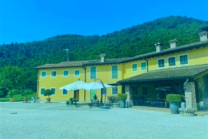 Zoey, 39 — Escort in Cuceglio, Italy